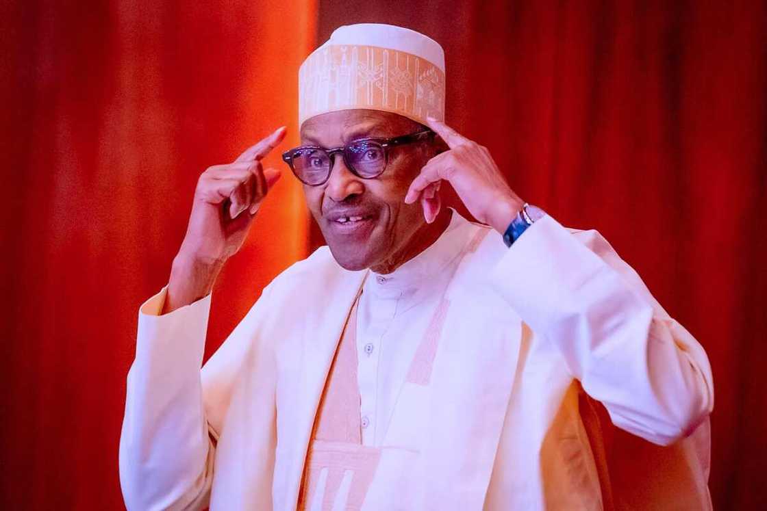 Northern APC Governors, President Buhari, Successor, Primary Elections, 2023