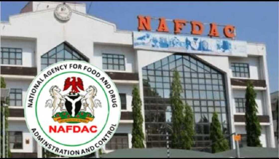 Yanzu-yanzu: Hukumar NAFDAC ta tsunduma yajin aikin gargadi ga gwamnati Yanzu-yanzu: Hukumar NAFDAC ta tsunduma yajin aikin gargadi ga gwamnati