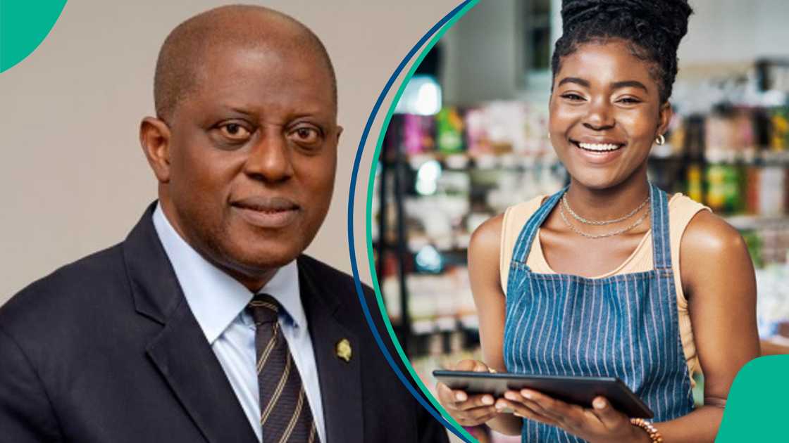 CBN Lists Factors Affecting Businesses in Nigeria CBN Lists Factors Affecting Businesses in Nigeria