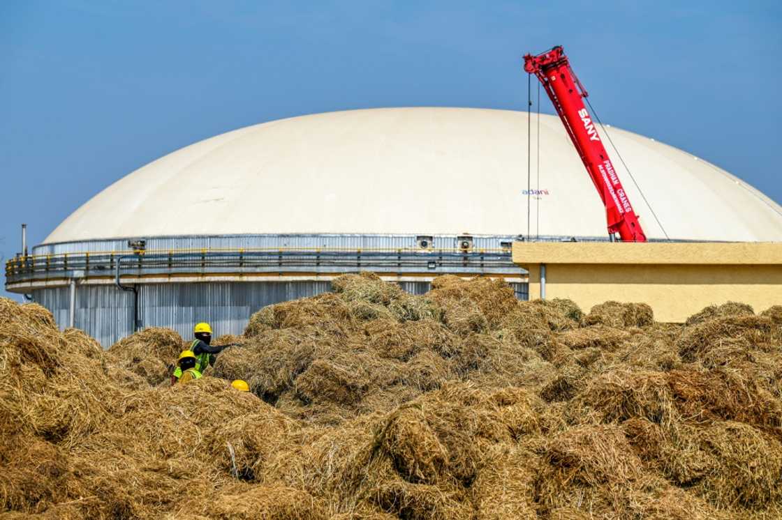 The Barsana Biogas Plant,  located four hours south of smog-plagued New Delhi, cost $25 million to build