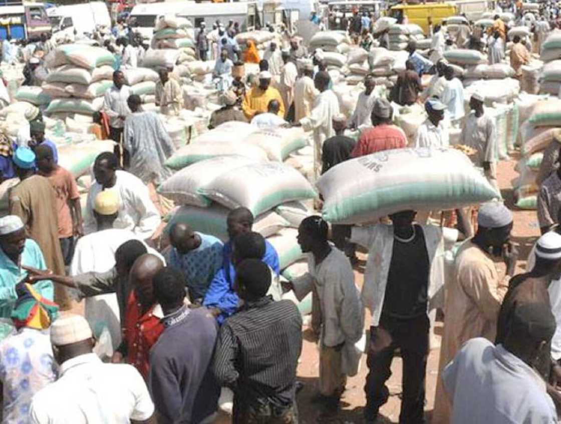 Farashin hatsi: Bude iyakokin tudun kasar nan ya ragargaza farashin kayan abinci Farashin hatsi: Bude iyakokin tudun kasar nan ya ragargaza farashin kayan abinci