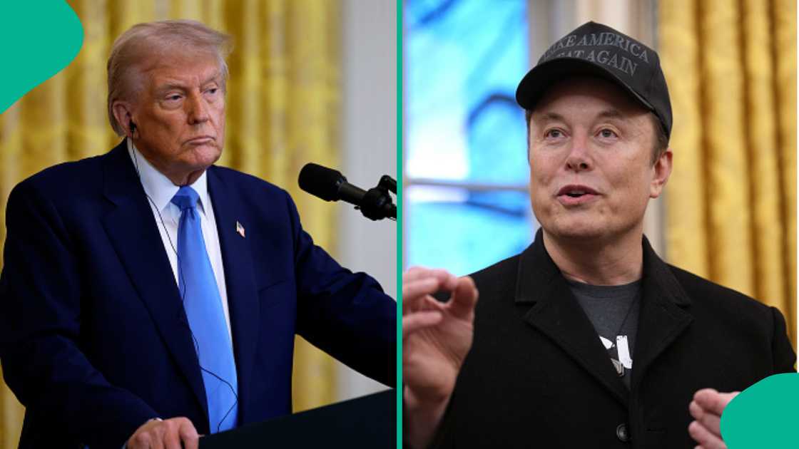Trump appointed Elon Musk to head the DOGE. Trump appointed Elon Musk to head the DOGE.