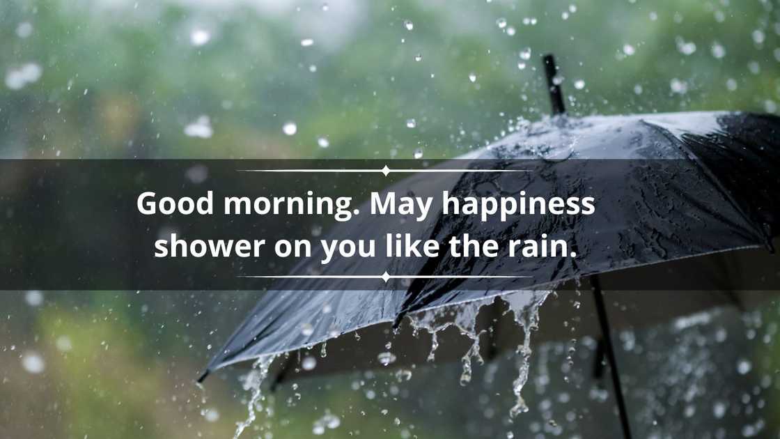 Morning rainy day quotes