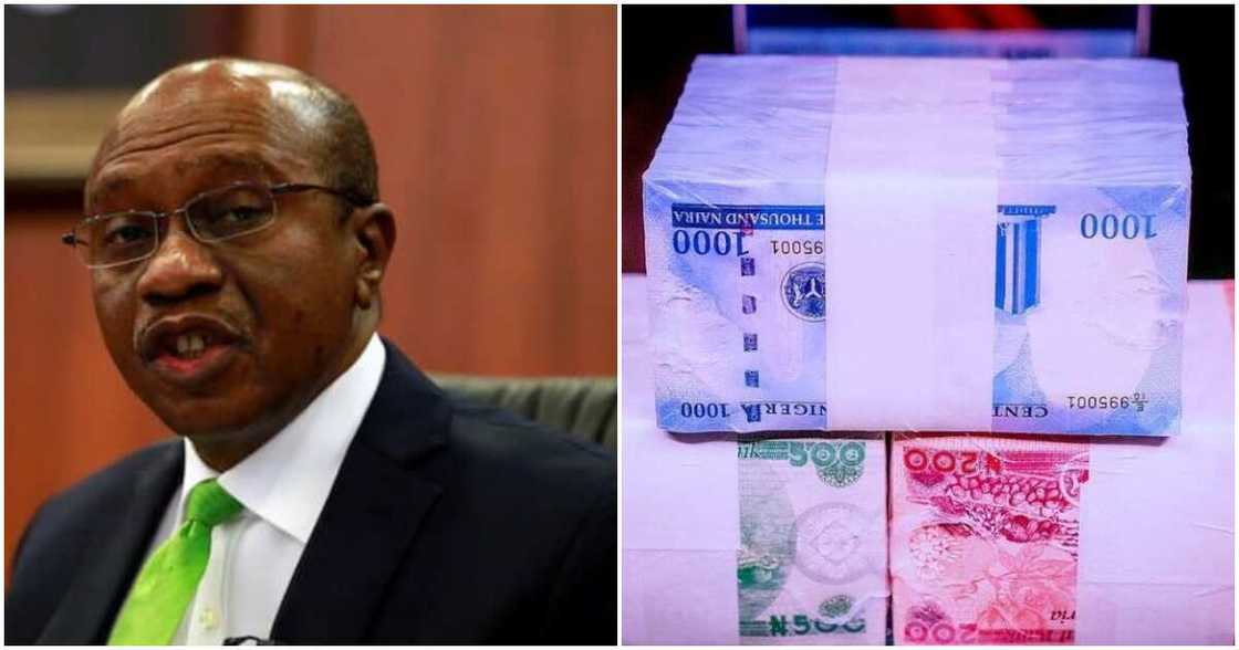 Civil Society Organisation, CSO, Concerned Nigerians, CN, the Governor of Central Bank of Nigeria, (CBN), Godwin Emefiele, old naira notes, Nigerian Senate Civil Society Organisation, CSO, Concerned Nigerians, CN, the Governor of Central Bank of Nigeria, (CBN), Godwin Emefiele, old naira notes, Nigerian Senate