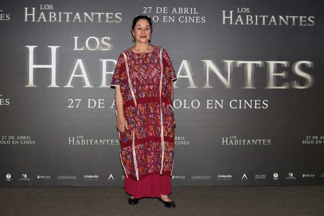 most famous mexican actors most famous mexican actors