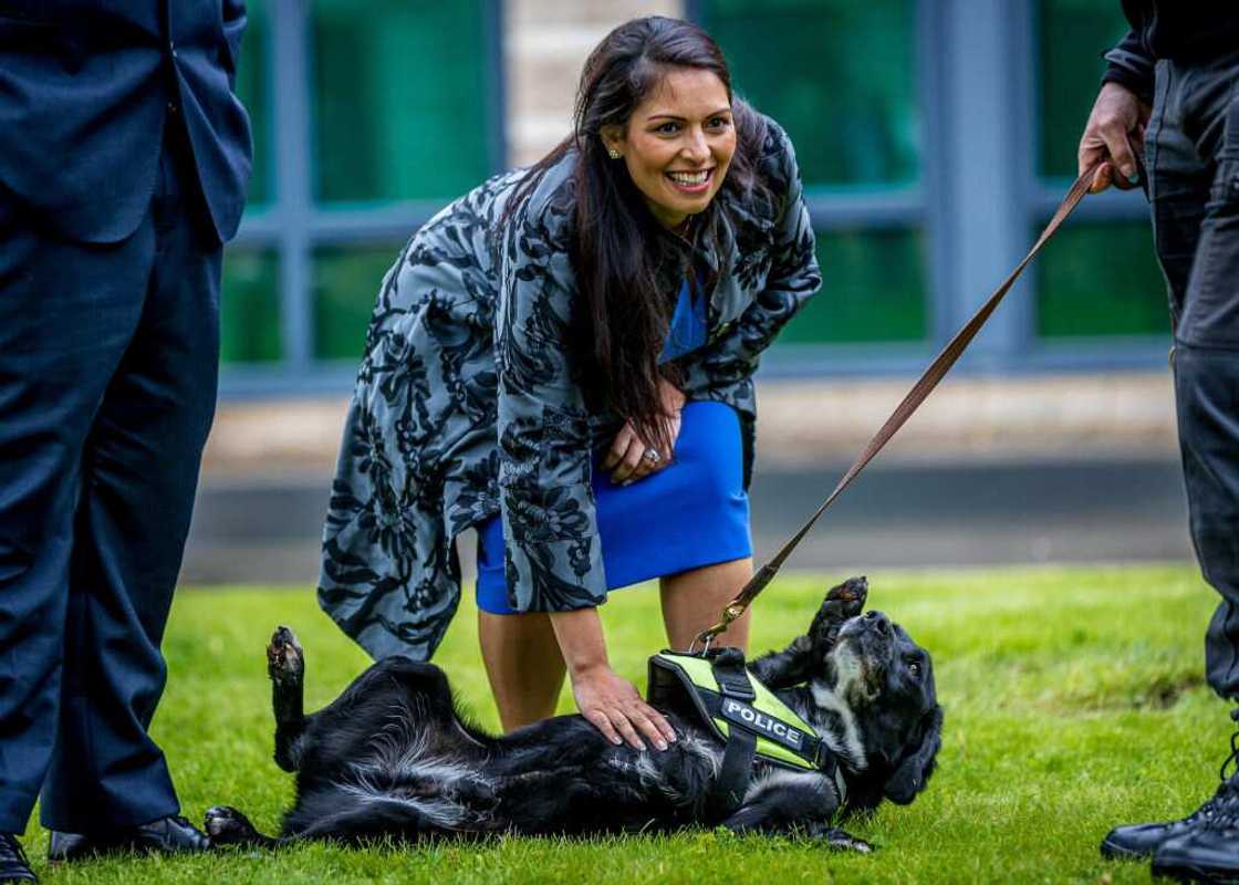 Priti Patel MP