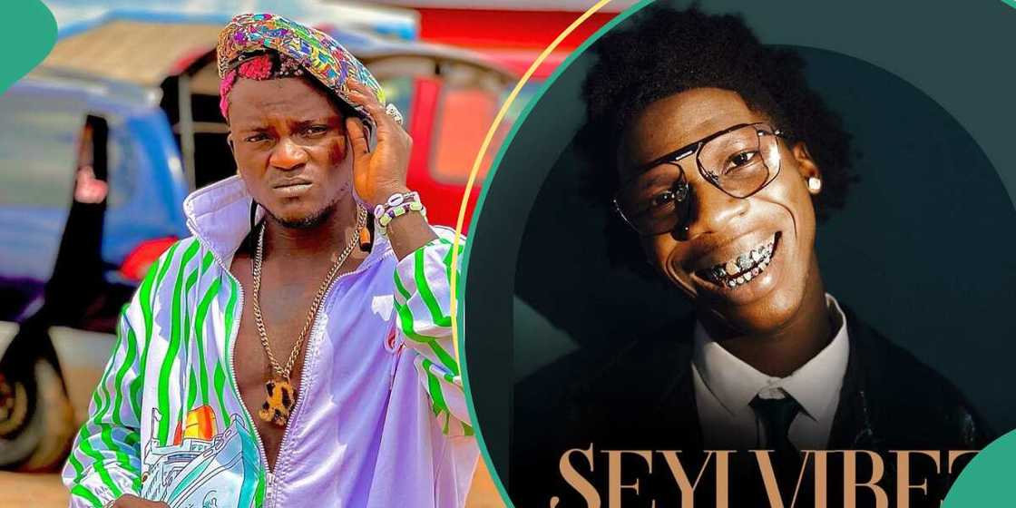 Portable Zazu Portable Zazu