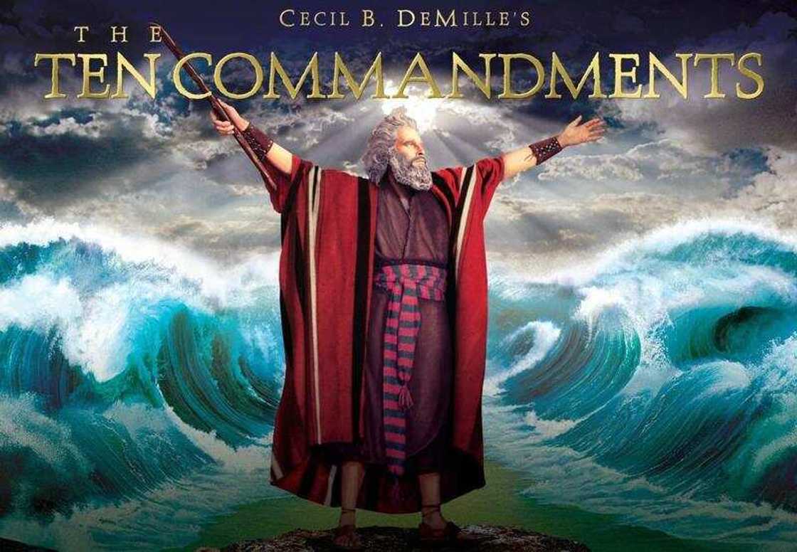 longest movie longest movie