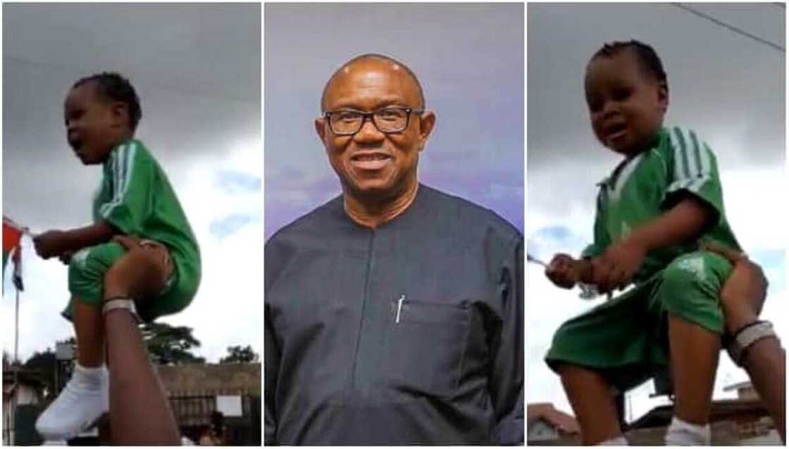 Peter Obi, Chioma Success, court, child rights activist, Wale Ojo-Lanre, 2023 presidential election, Lagos rally, Campaign Peter Obi, Chioma Success, court, child rights activist, Wale Ojo-Lanre, 2023 presidential election, Lagos rally, Campaign