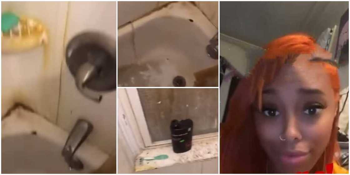 Stunned lady shares video of the bathroom of a man she had visited for the first time, causes stir Stunned lady shares video of the bathroom of a man she had visited for the first time, causes stir