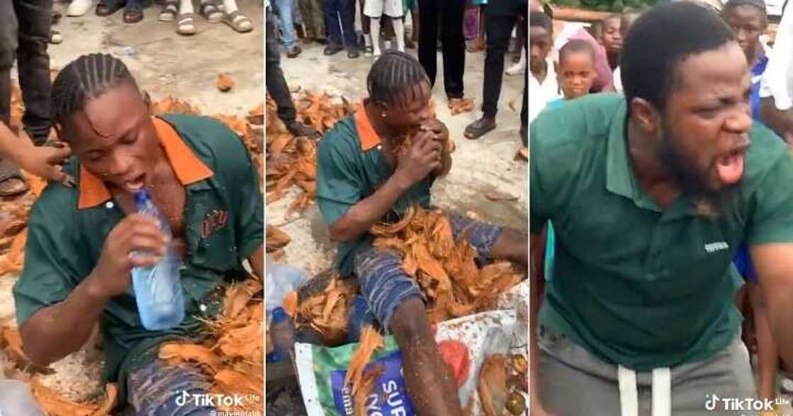 Man peels coconuts with his teeth