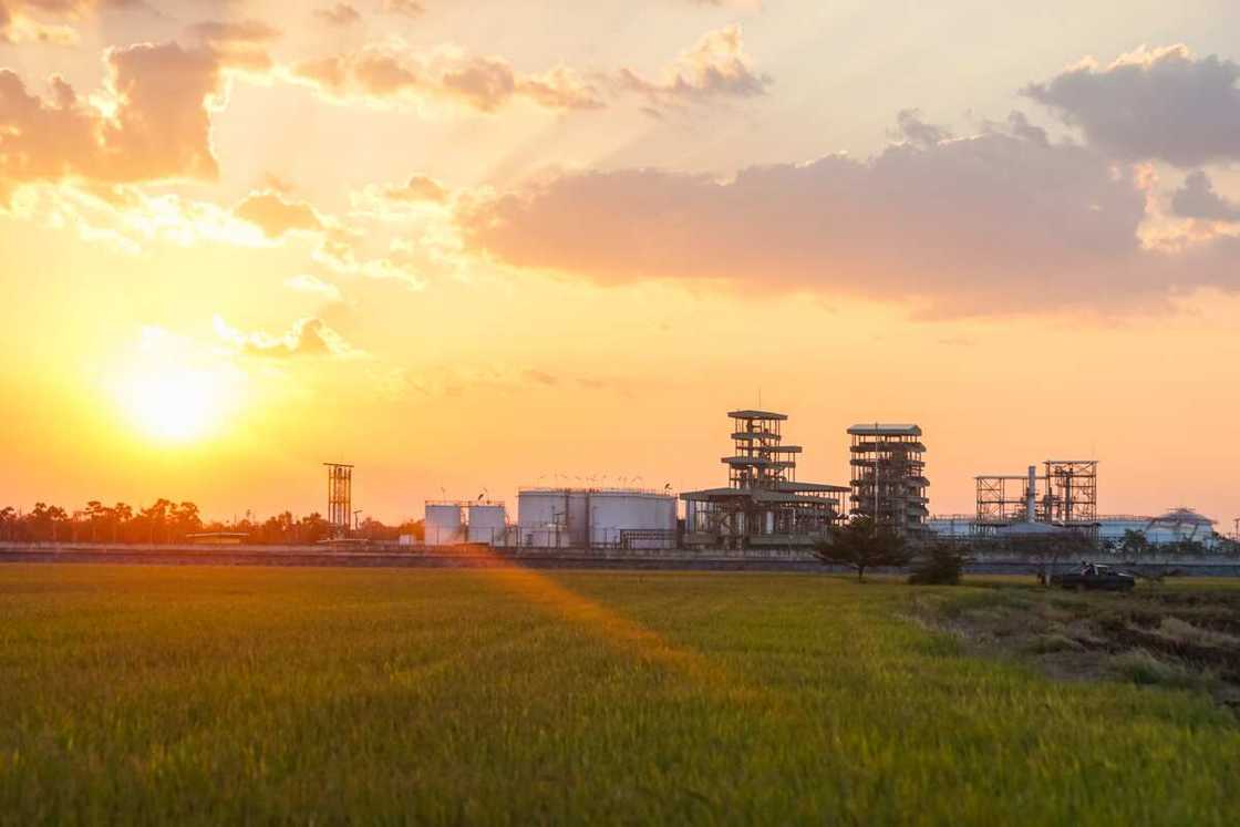 Rianol Energy to acquire 600 hectares for ethanol production Rianol Energy to acquire 600 hectares for ethanol production