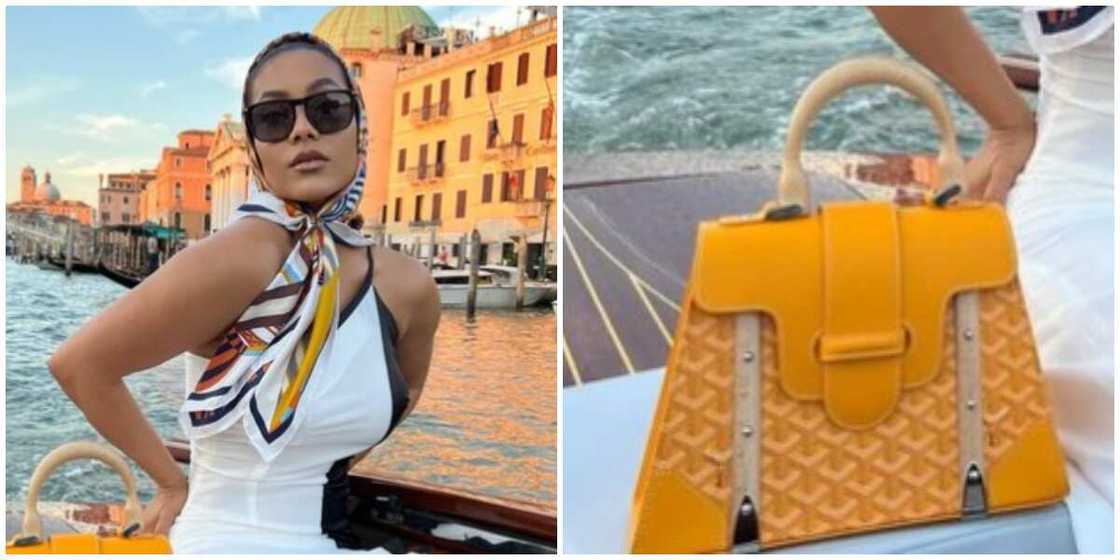 Photos of Maria with a Maison Goyard bag.