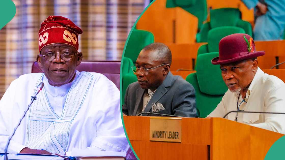 'Yan majalisa sun ba Tinubu shawara kan zanga-zanga