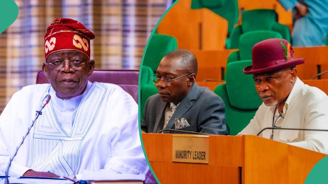 Protest: Tinubu gets urgent from reps Protest: Tinubu gets urgent from reps