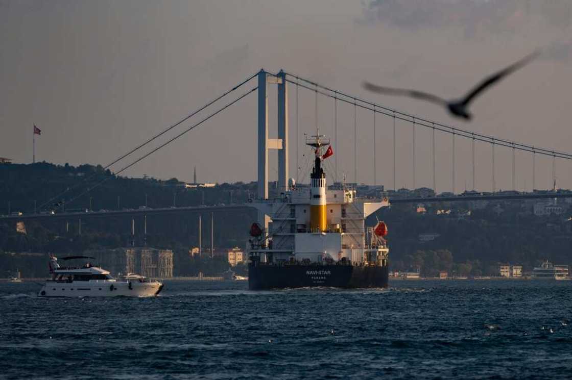 The first 12 Ukrainian grain ships to sail through the Bosphorus Strain were carrying corn instead of wheat The first 12 Ukrainian grain ships to sail through the Bosphorus Strain were carrying corn instead of wheat