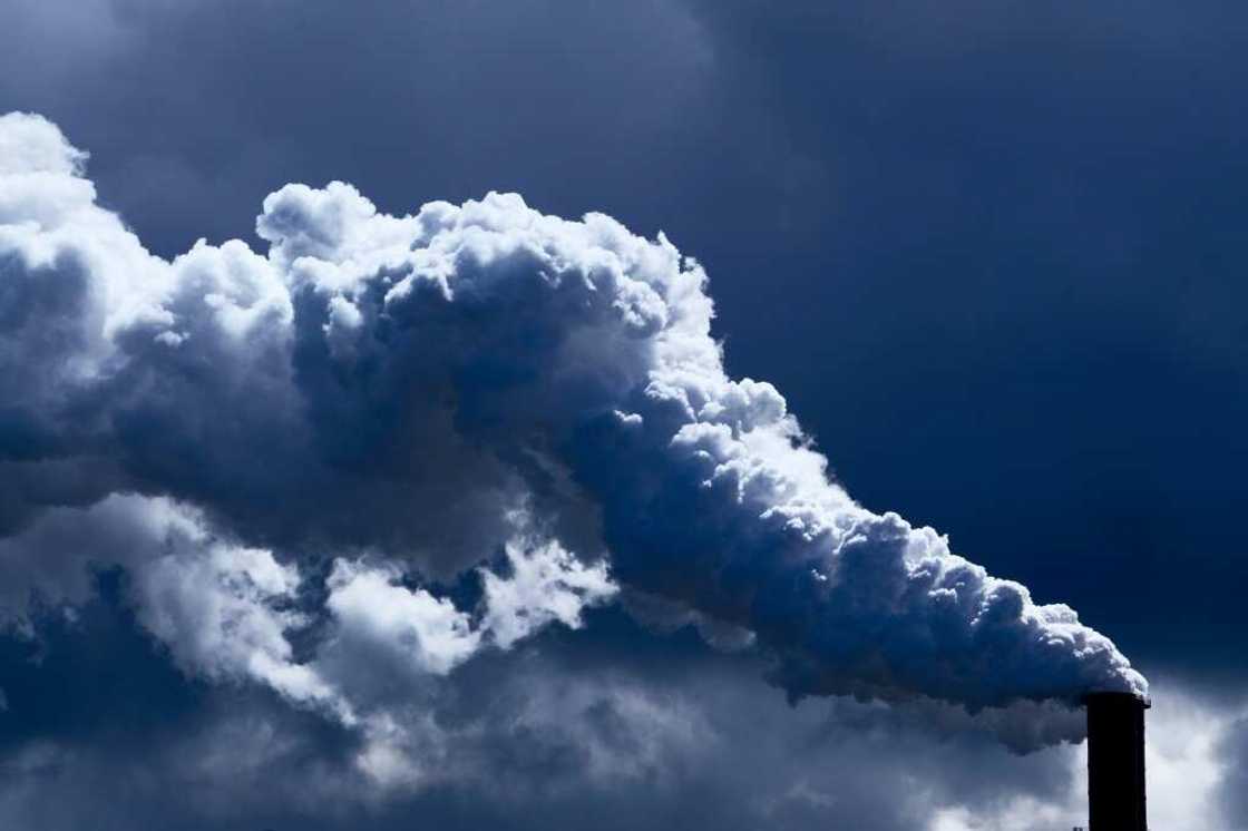 The Moorburg coal plant in full flow back in 2019 The Moorburg coal plant in full flow back in 2019