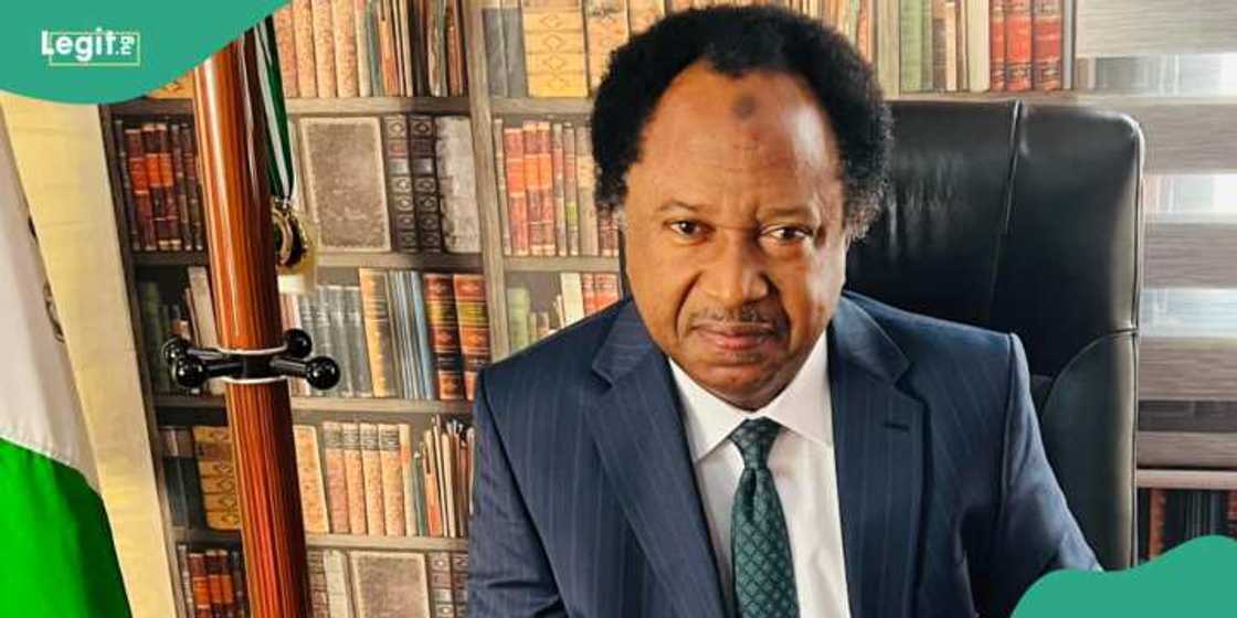 Shehu Sani Shehu Sani