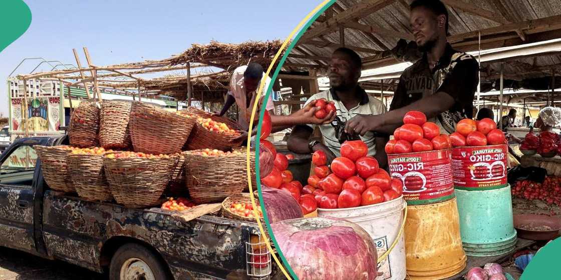 'Yan Arewa sun yi barazanar daina kai tumatur Kudu