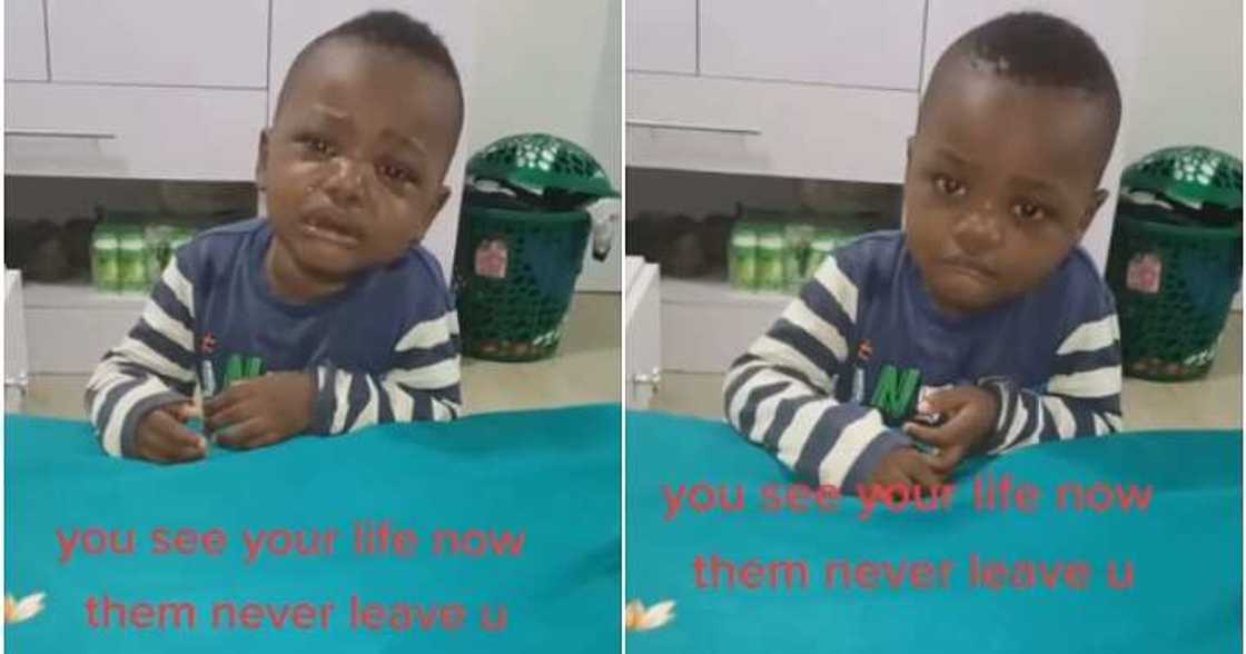 Father advises son, little boy, women Father advises son, little boy, women