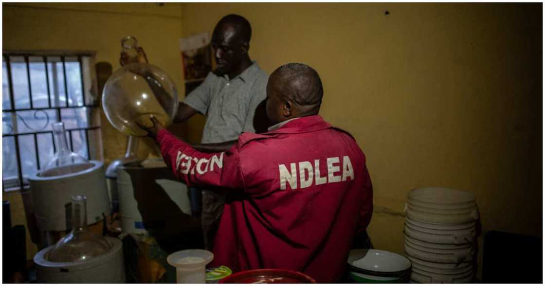 An saki sunayen wadanda aka dauka aikin NDLEA