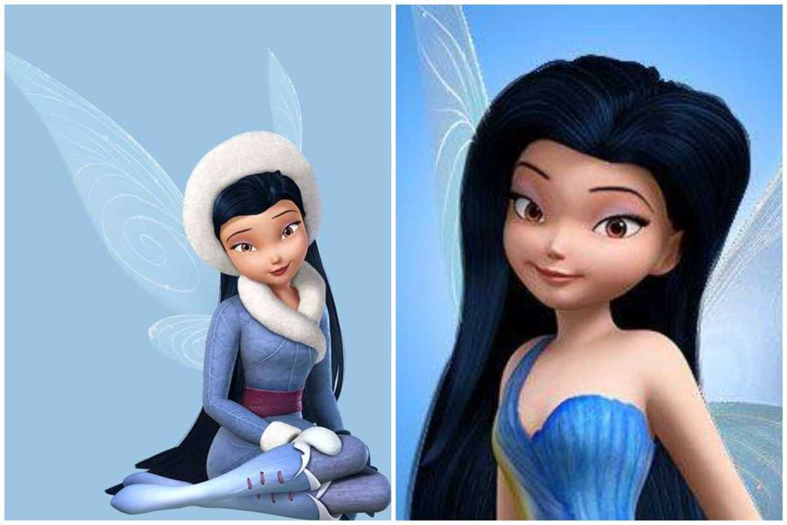 all the fairies from Tinker Bell all the fairies from Tinker Bell