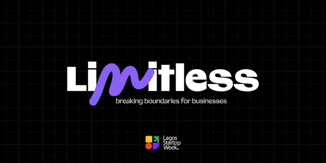 Lagos Startup Week, LSW 2024, Limitless, 2024, Businesses, Startups, Investors, Government