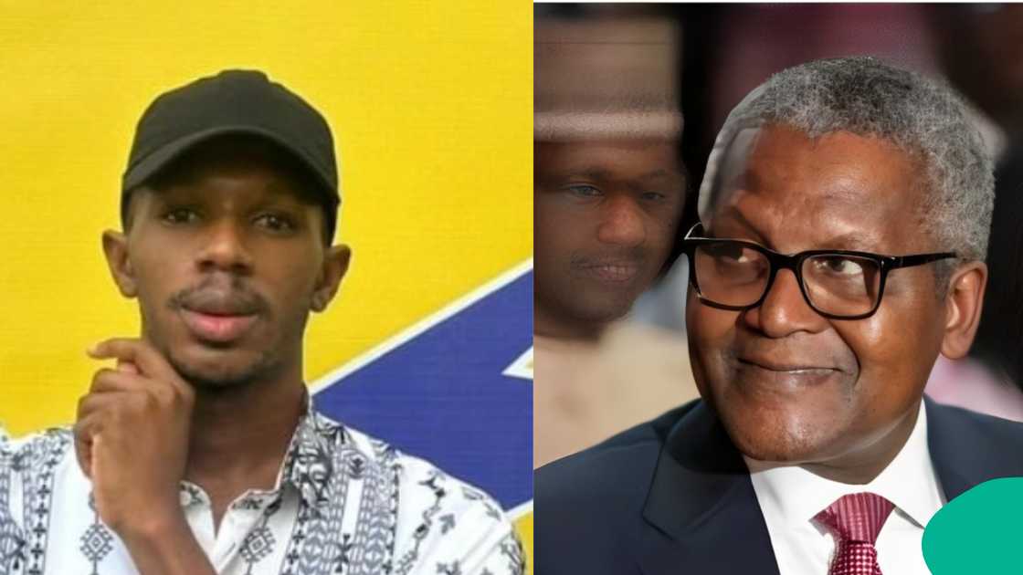 Daniel Regha speaks about Dangote's plan. Daniel Regha speaks about Dangote's plan.