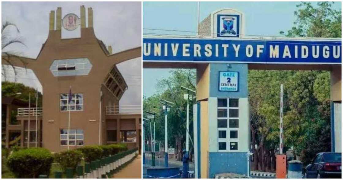 UNIBEN increases fee/ UNIMAID increases fee/ Bayero University increases fee/ Nigerian universities increase fees