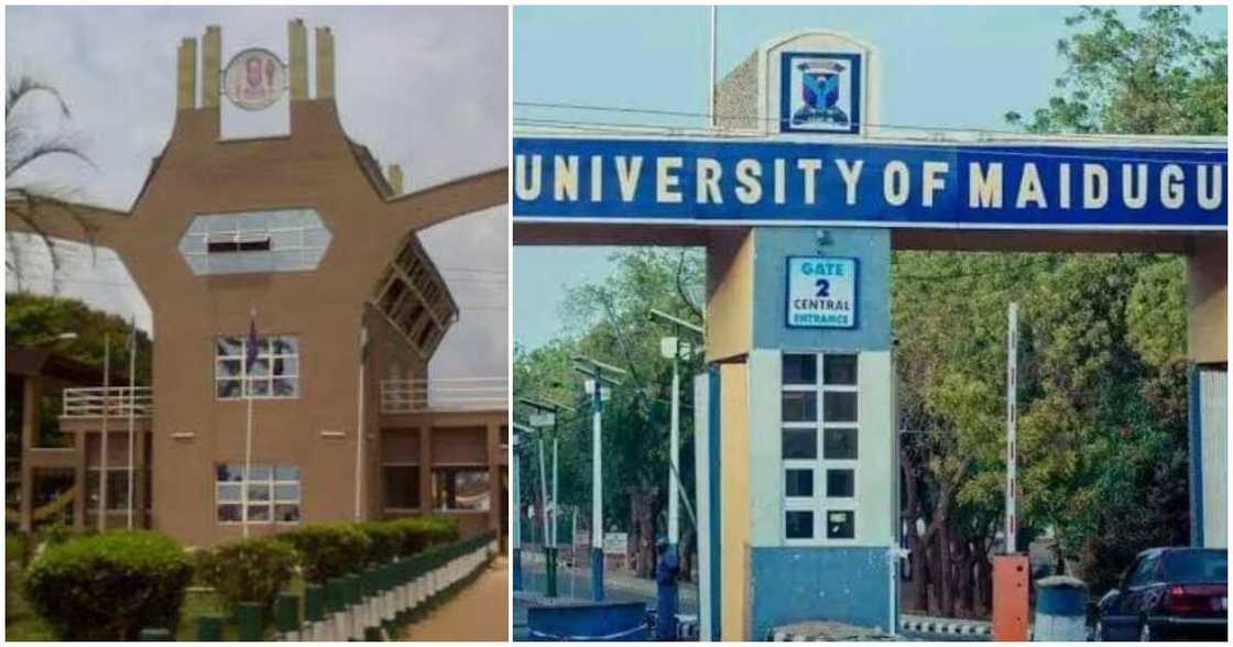UNIBEN increases fee/ UNIMAID increases fee/ Bayero University increases fee/ Nigerian universities increase fees UNIBEN increases fee/ UNIMAID increases fee/ Bayero University increases fee/ Nigerian universities increase fees