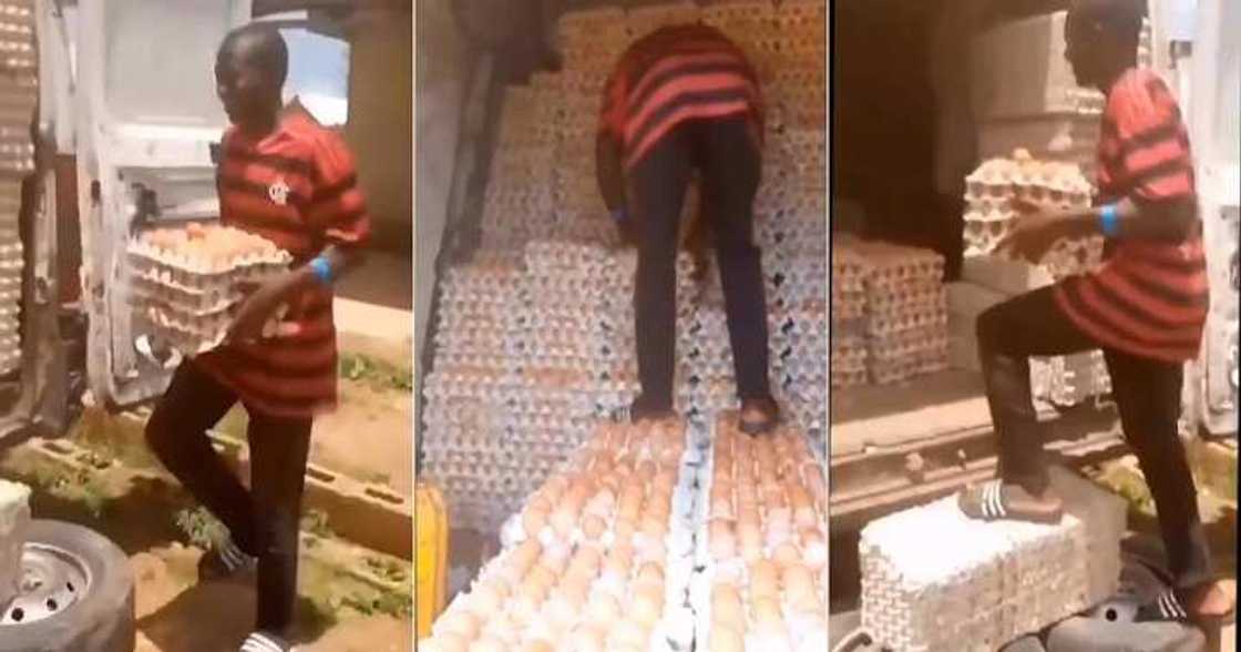 Nigerian man walks on eggs Nigerian man walks on eggs