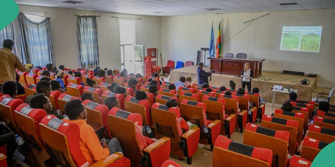 Kid, ABC song, professor Kid, ABC song, professor