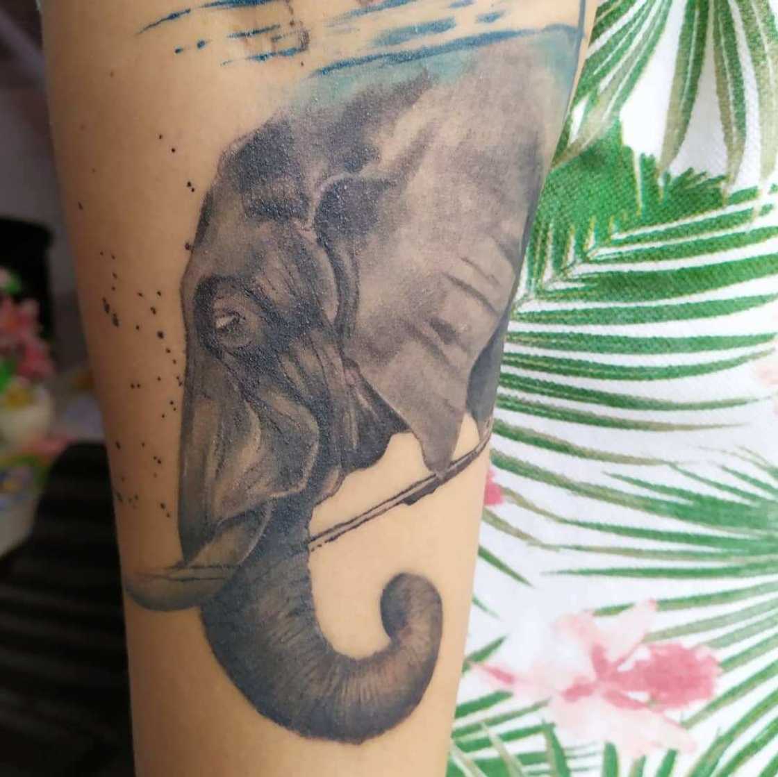 Watercolour elephant tattoo