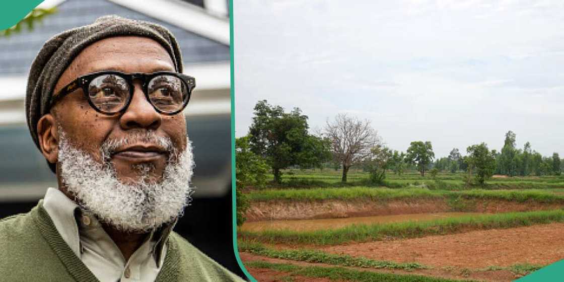 Nigerians react as man is offered N80M for land he bought in 2000 at N250k