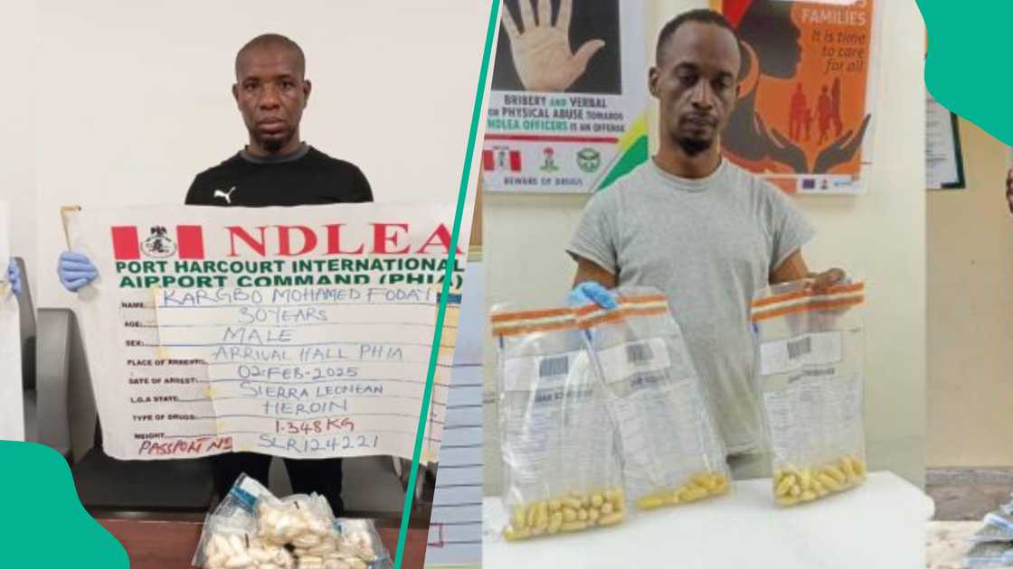 NDLEA ta cafke dillalan hodar iblis NDLEA ta cafke dillalan hodar iblis