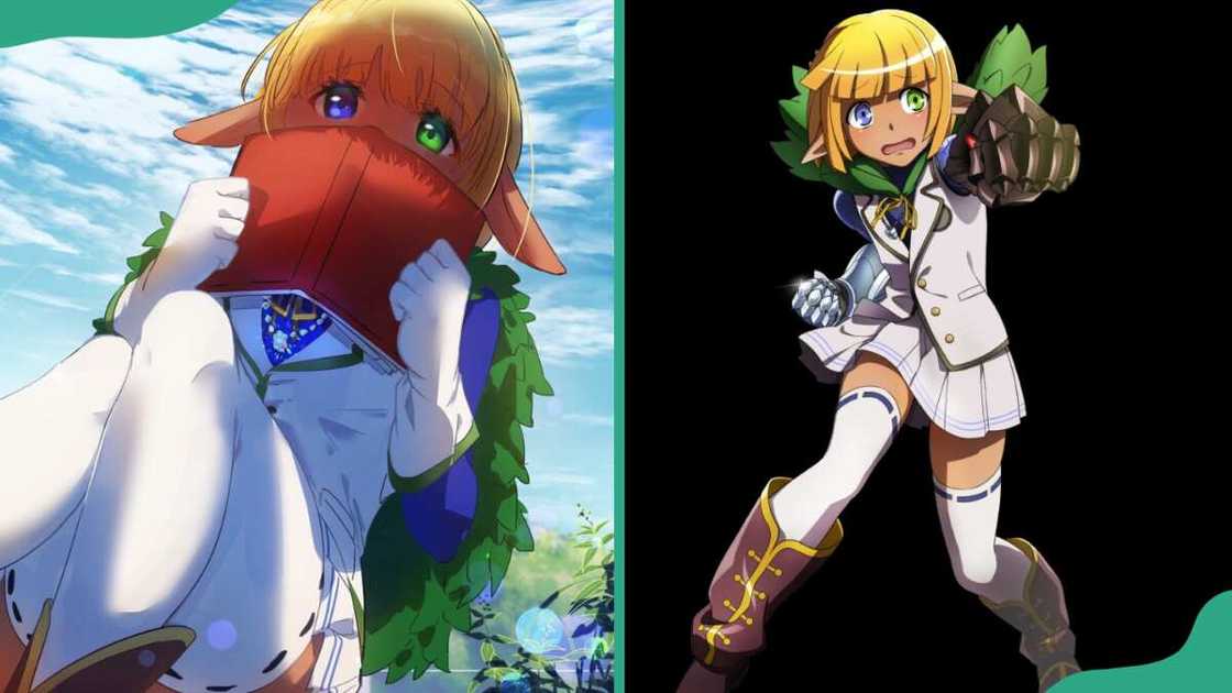Mare Bello Fiore from Overlord Mare Bello Fiore from Overlord