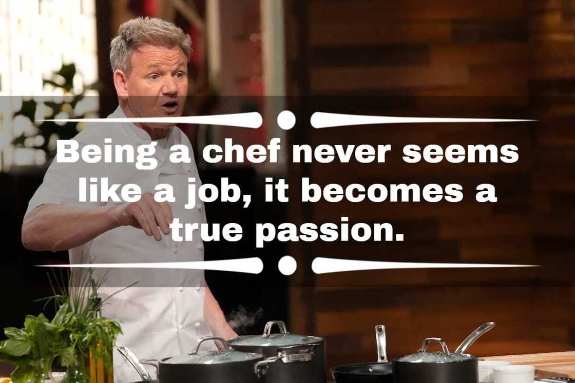 Gordon Ramsay catchphrase