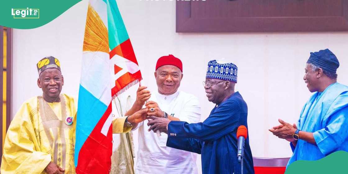 Imo, Kogi, Ganduje, Uzodimma, Ododo, APC Imo, Kogi, Ganduje, Uzodimma, Ododo, APC