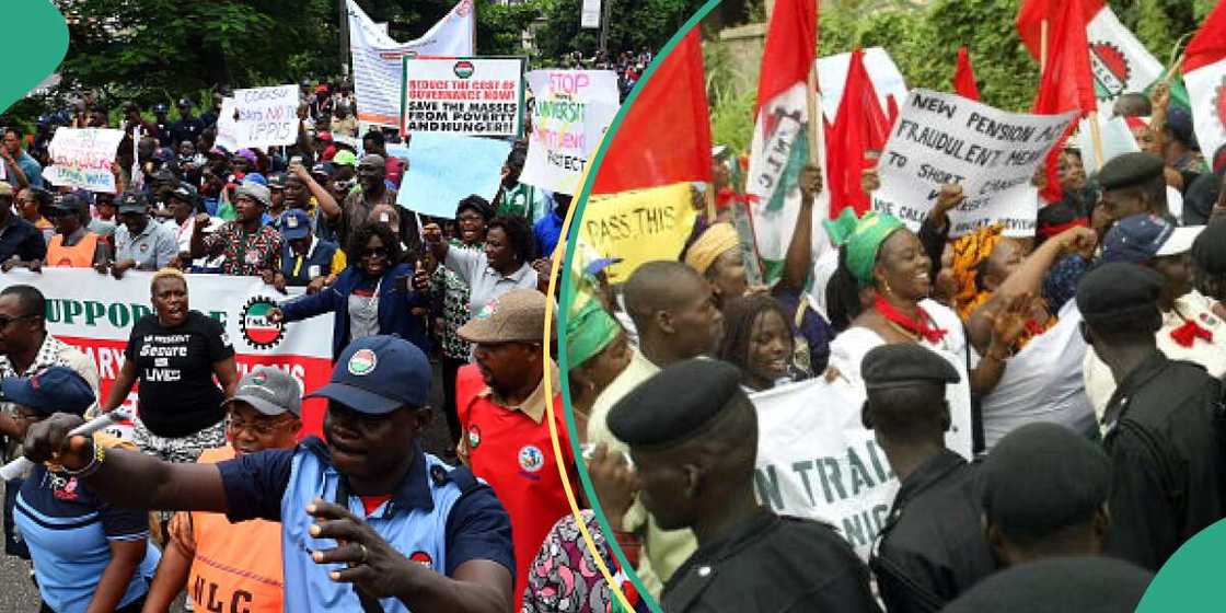 Zanga-zanga Zanga-zanga