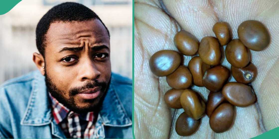 Man shares photo of unknown seeds. Man shares photo of unknown seeds.