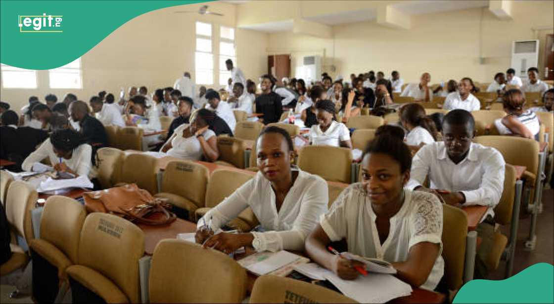 Daliban jami'a Daliban jami'a