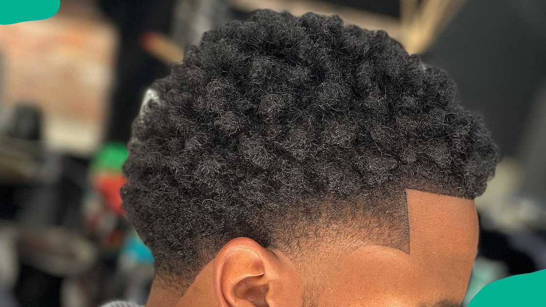 tapered afro twists hairstyle for men