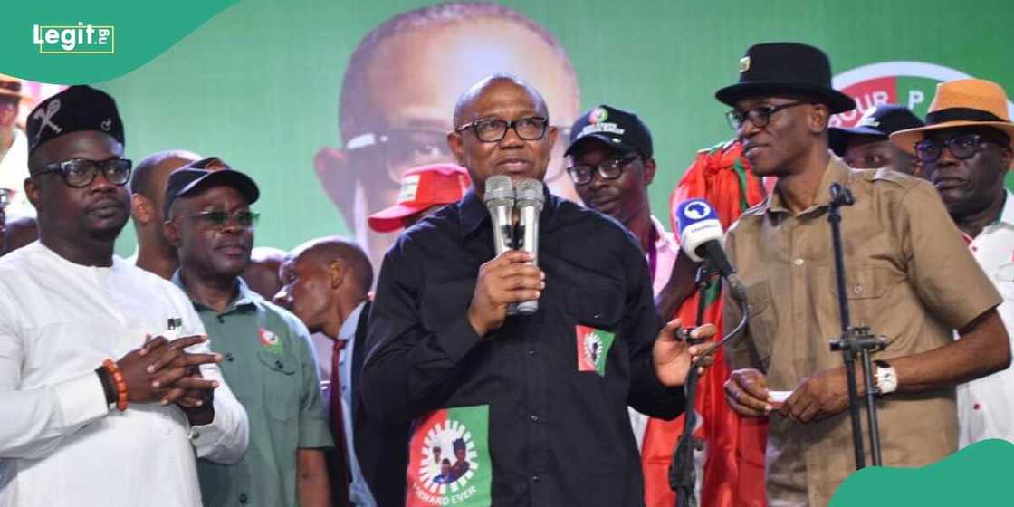Bola Tinubu, Tribunal, Peter Obi, Labour Party Bola Tinubu, Tribunal, Peter Obi, Labour Party