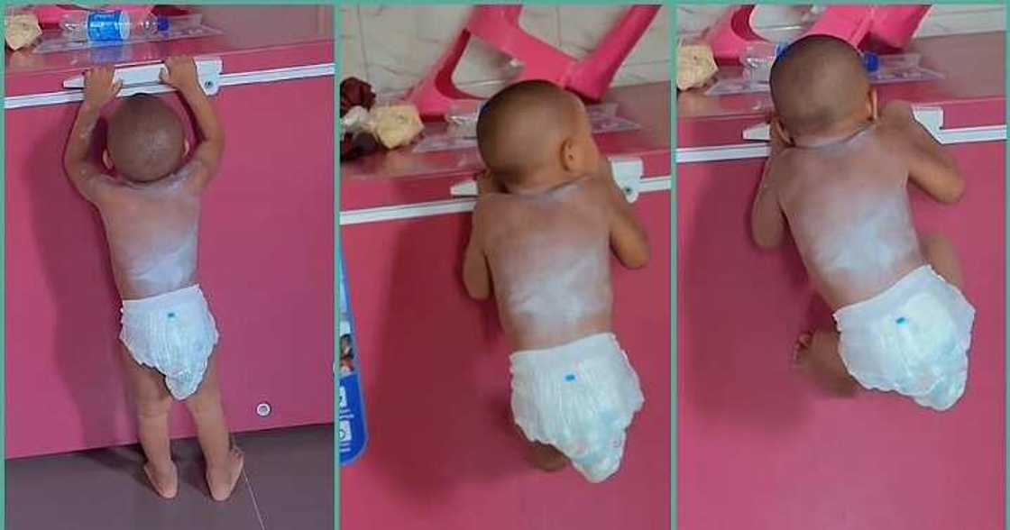 Strong little boy climbs mum's freezer in video Strong little boy climbs mum's freezer in video