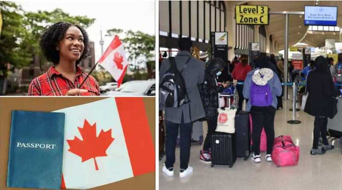 Canada, immigration, PGP Canada, immigration, PGP