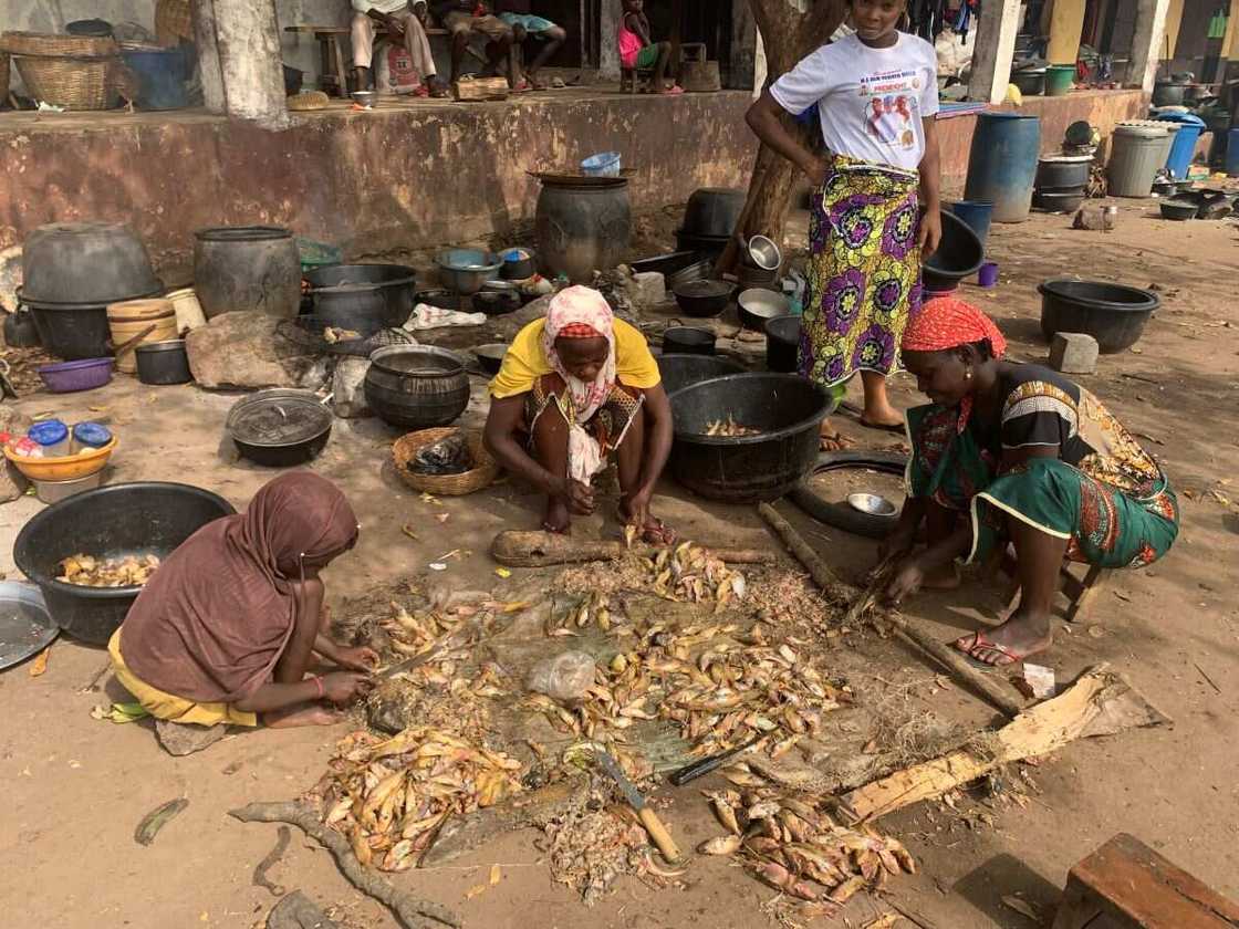 Benue flood, Kogi flood Benue flood, Kogi flood