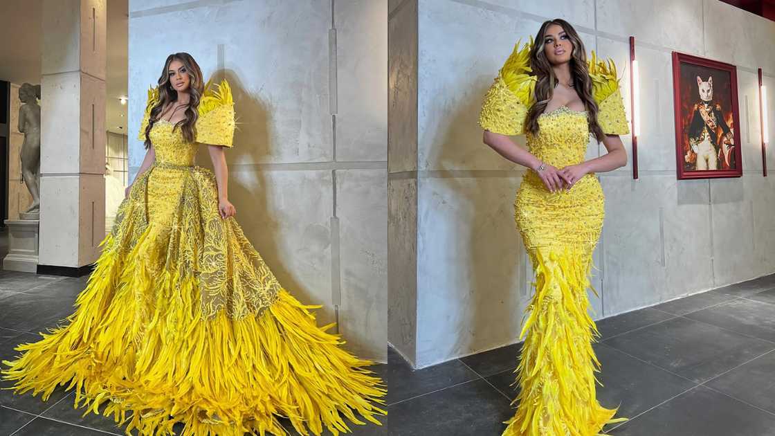 Yellow feathered gown Yellow feathered gown