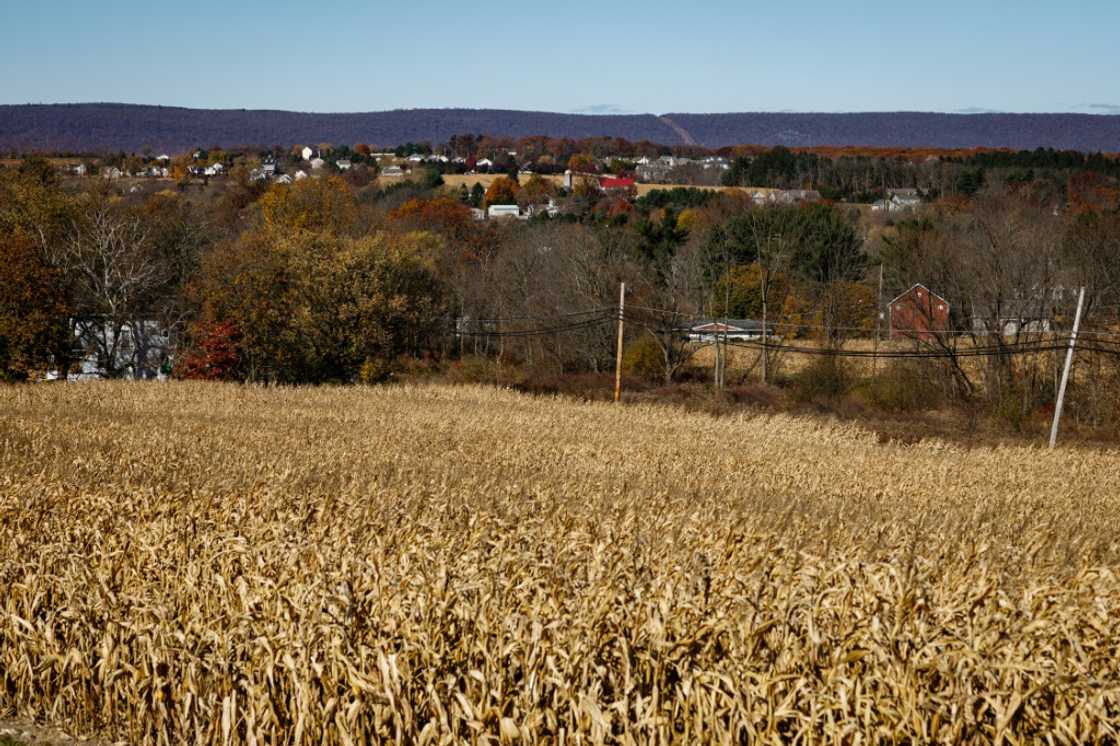 Industry groups warn that corn and soybeans will again be prime targets for retaliatory tariffs on US goods Industry groups warn that corn and soybeans will again be prime targets for retaliatory tariffs on US goods