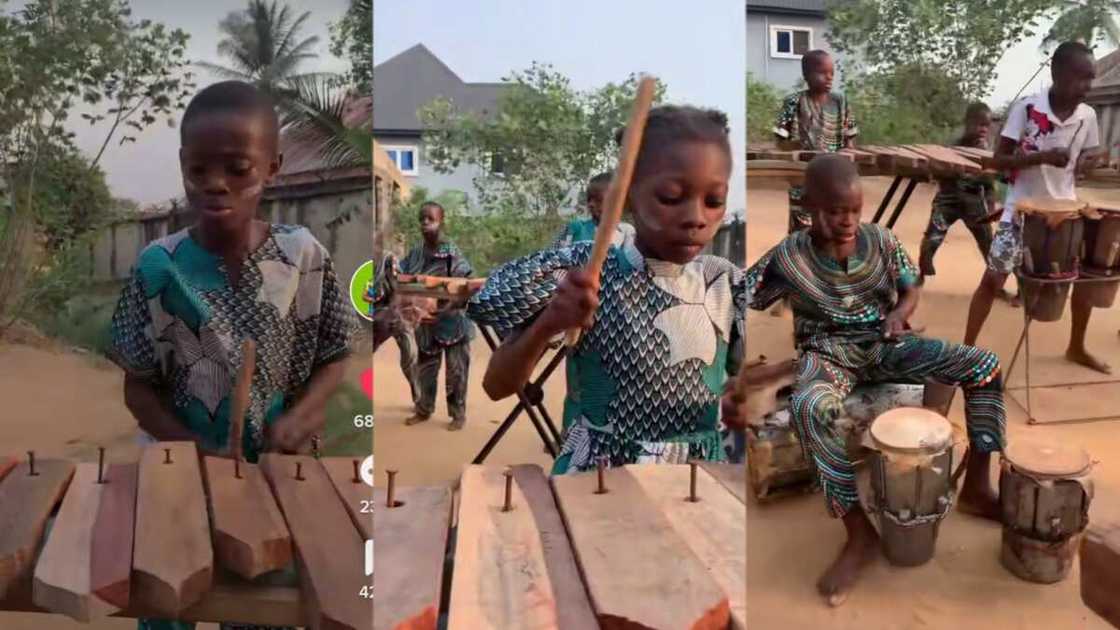 Children play wooden xylophone exceptionally Children play wooden xylophone exceptionally