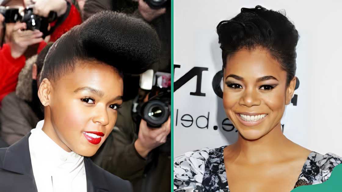 Pompadour puff Pompadour puff